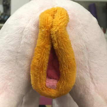 Plush pony vulva being "worn"
